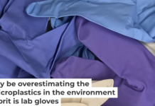 Gloves used in the laboratory that led to microplastic overestimation. Madeline Clough